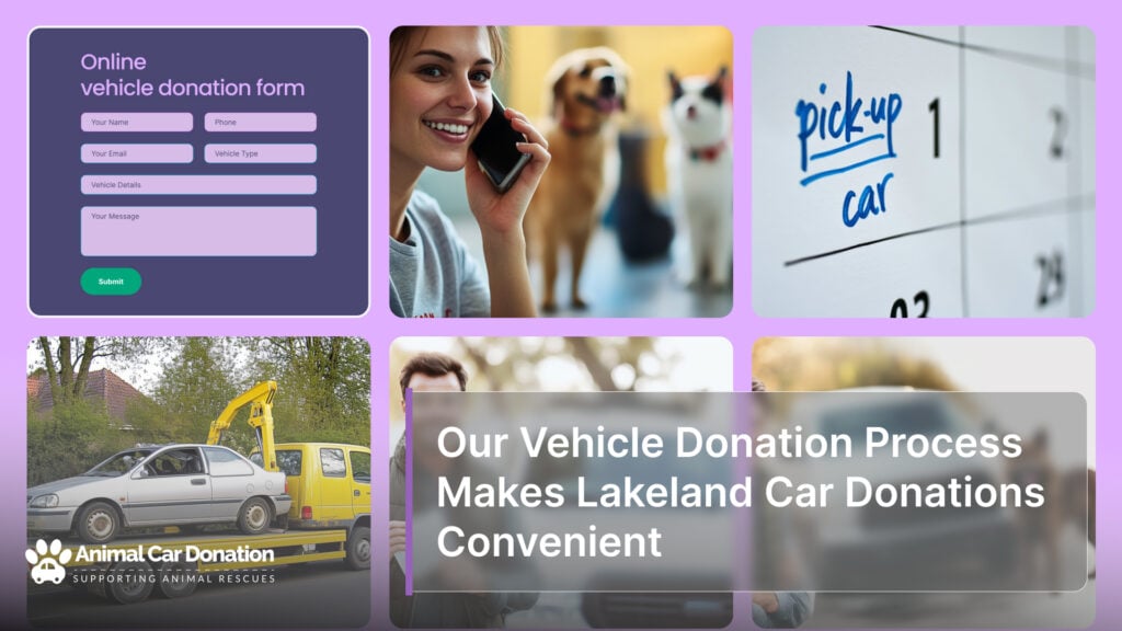 Our Vehicle Donation Process Makes Lakeland Car Donations Convenient