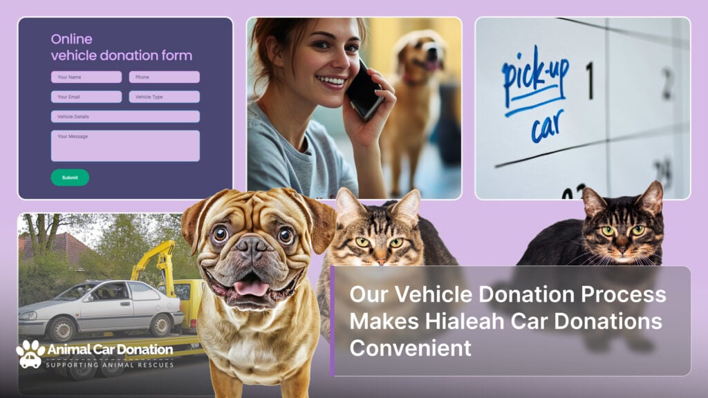 Our Vehicle Donation Process Makes Hialeah Car Donations Convenient