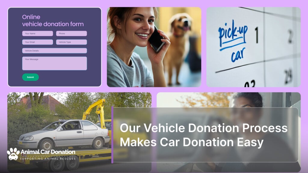 Our Vehicle Donation Process Makes Car Donation Easy