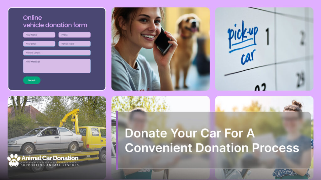 Donate Your Car For A Convenient Donation Process