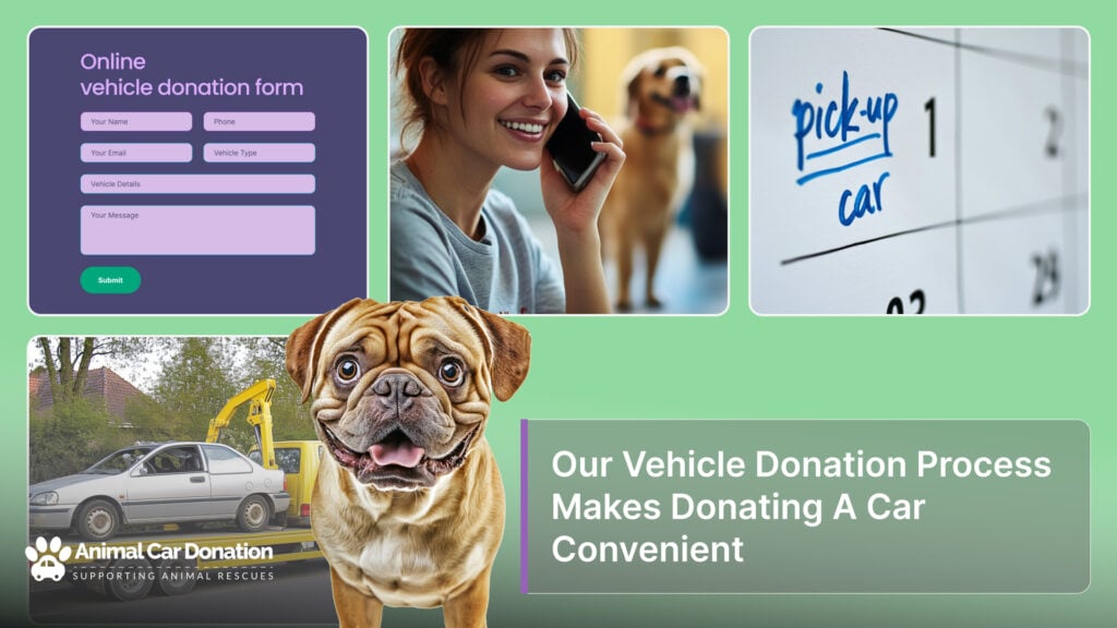 Our Vehicle Donation Process Makes Donating A Car Convenient