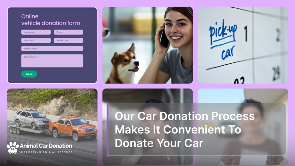 Our Car Donation Process Makes It Convenient To Donate Your Car