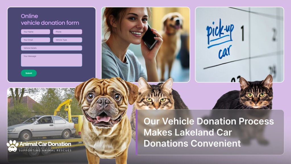 Our Vehicle Donation Process Makes Lakeland Car Donations Convenient