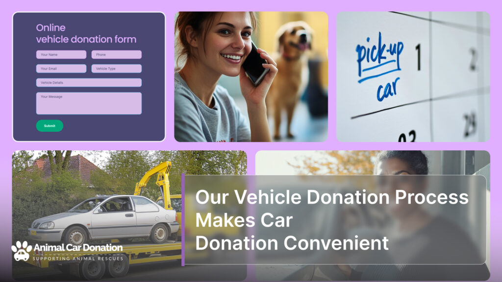 Our Vehicle Donation Process Makes Car Donation Convenient