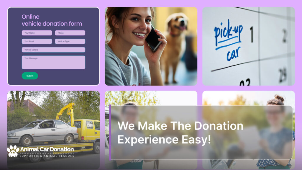 We Make The Donation Experience Easy