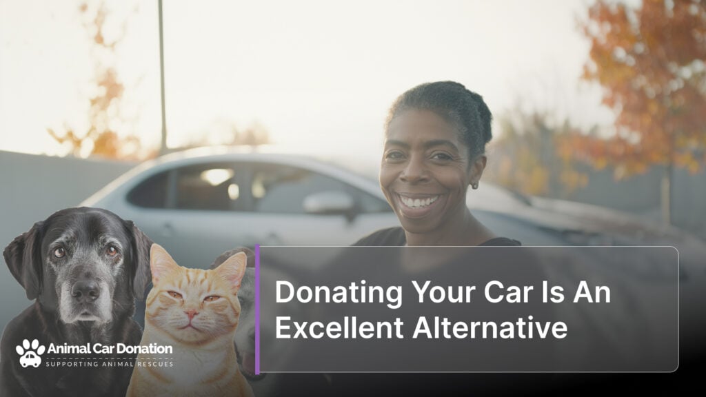 Donating Your Car Is An Excellent Alternative