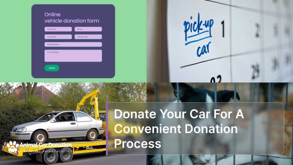 Donate Your Car For A Convenient Donation Process