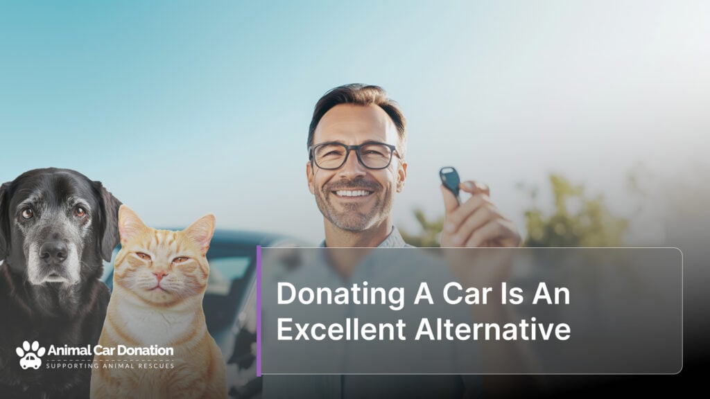 Donating A Car Is An Excellent Alternative