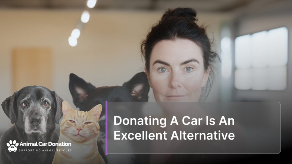 Donating A Car Is An Excellent Alternative