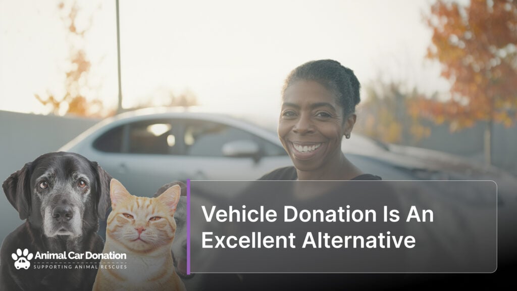 Vehicle Donation Is An Excellent Alternative