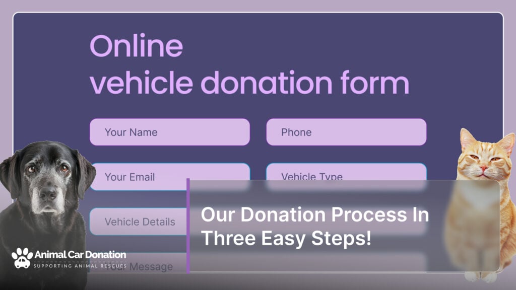 Our Donation Process In Three Easy Steps