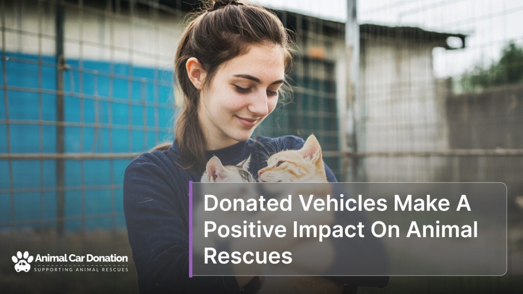 Donated Vehicles Make A Positive Impact On Animal Rescues