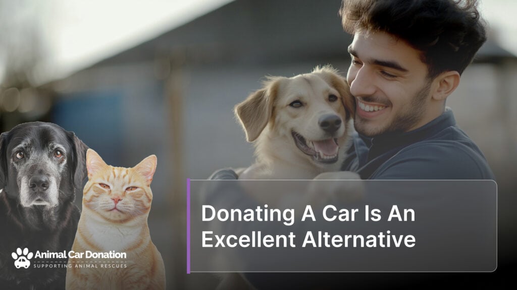 Donating A Car Is An Excellent Alternative