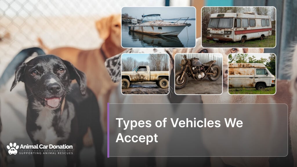 Types of Vehicles We Accept