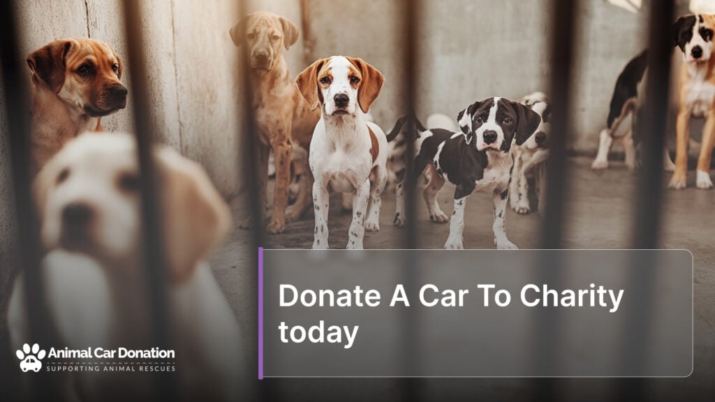 Donate A Car To Charity today