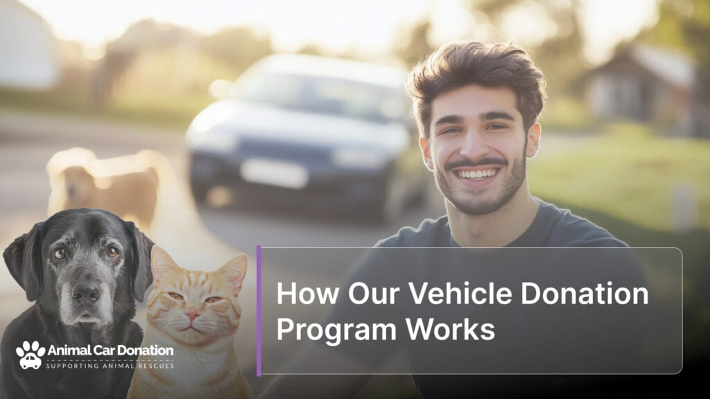 How Our Vehicle Donation Program Works