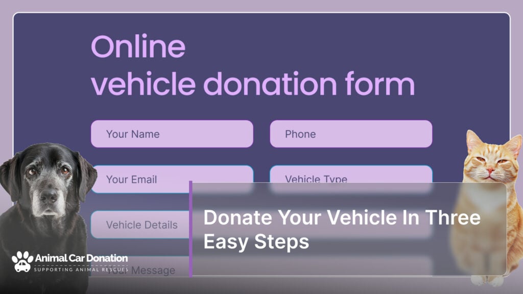 Donate Your Vehicle In Three Easy Steps