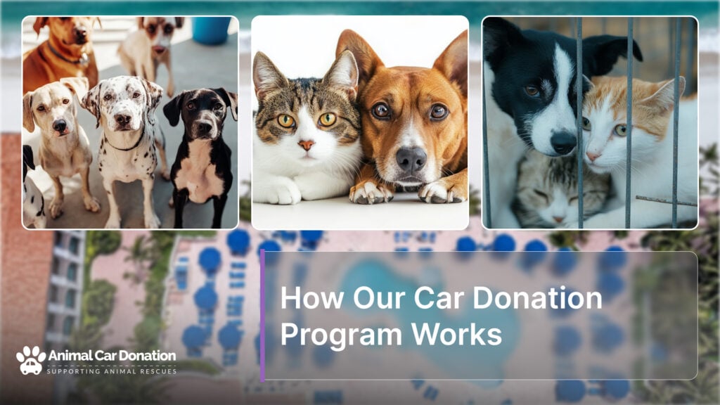 How Our Car Donation Program Works