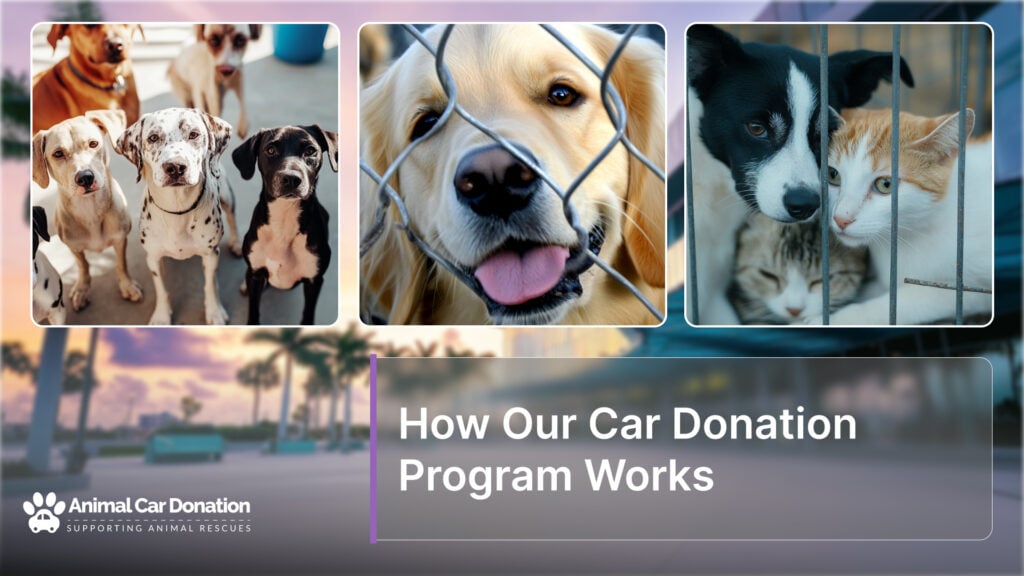 How Our Car Donation Program Works