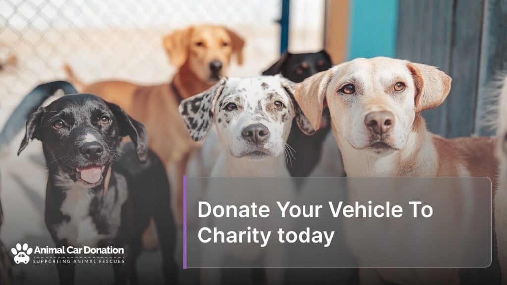 Donate Your Vehicle To Charity today