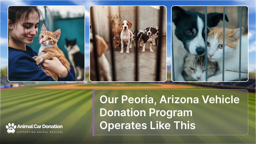 Our Peoria, Arizona Vehicle Donation Program Operates Like This