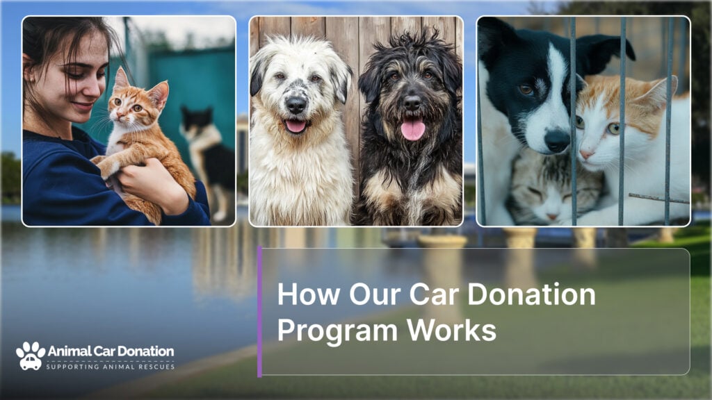 How Our Car Donation Program Works