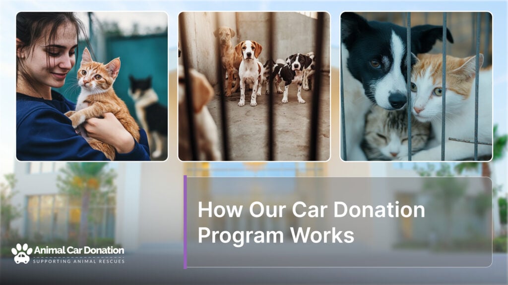 How Our Car Donation Program Works