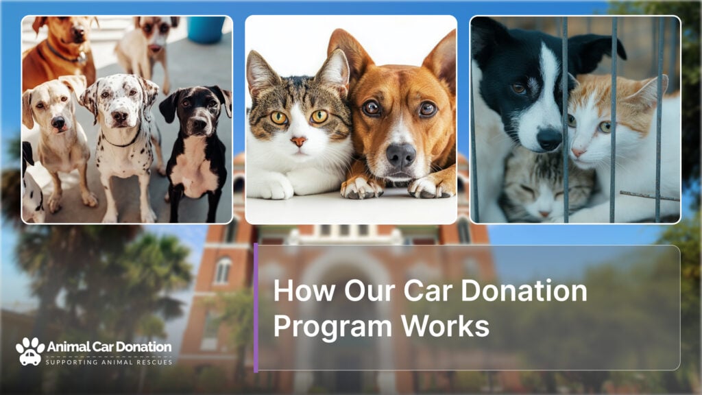 How Our Car Donation Program Works