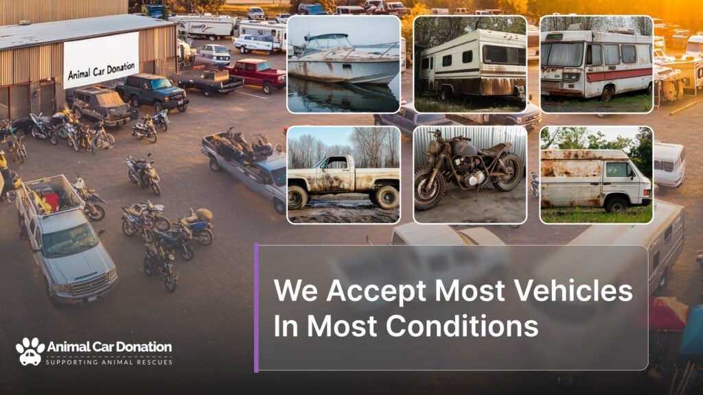 We Accept Most Vehicles In Most Conditions