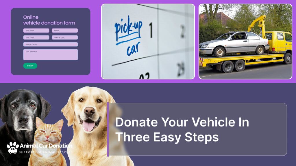 Donate Your Vehicle In Three Easy Steps