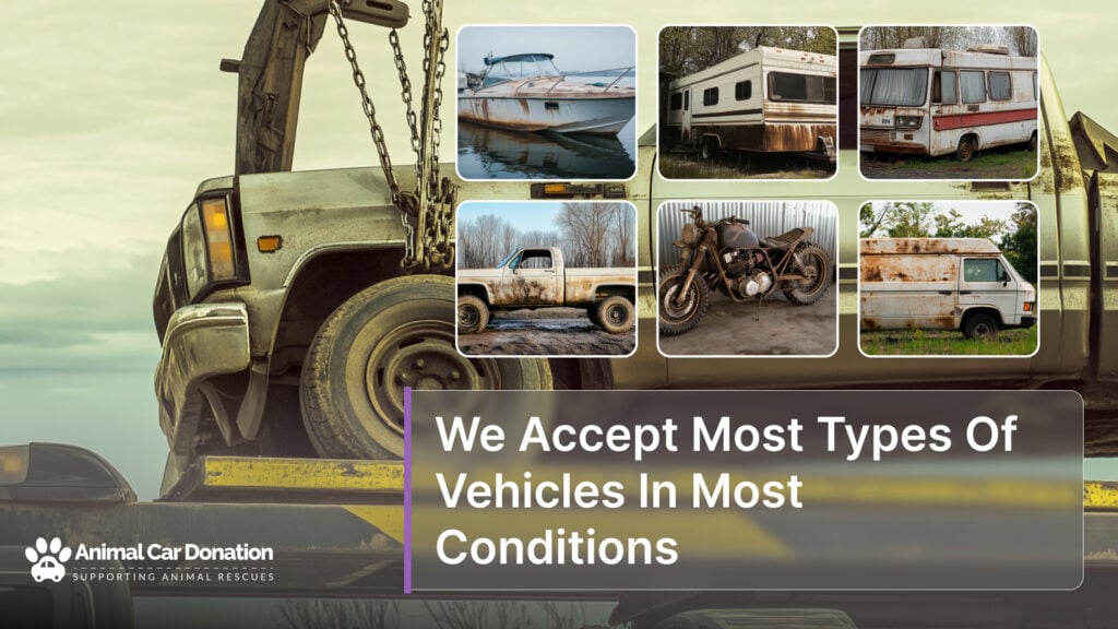 We Accept Most Types Of Vehicles In Most Conditions