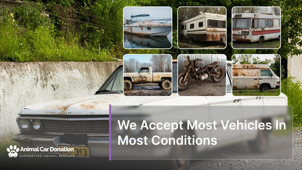 We Accept Most Vehicles In Most Conditions