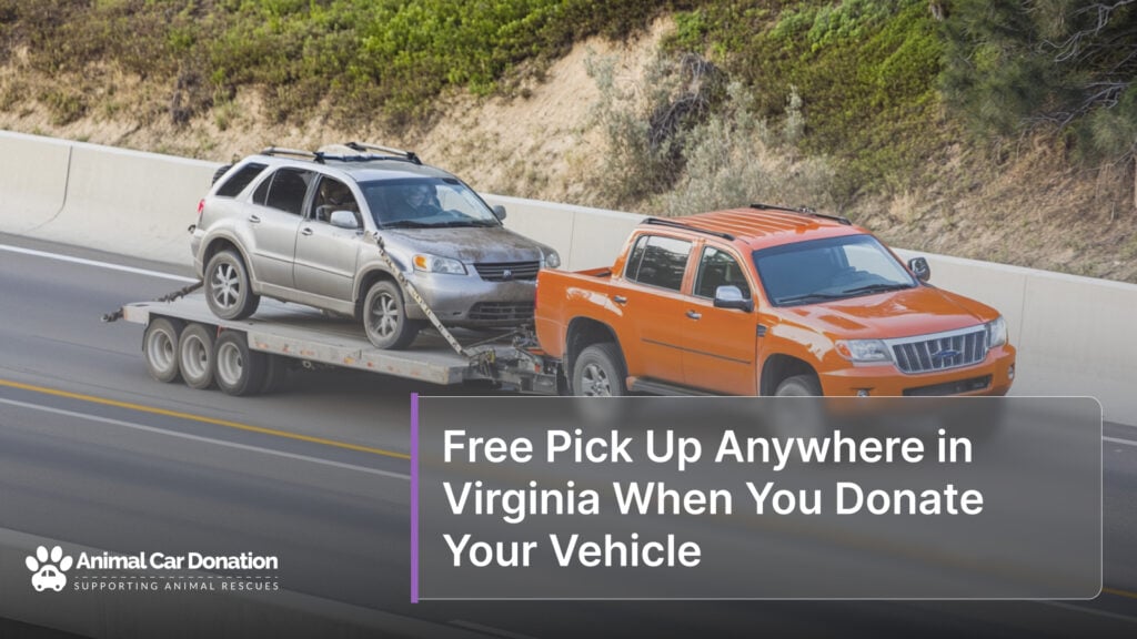 Free Pick Up Anywhere in Virginia When You Donate Your Vehicle