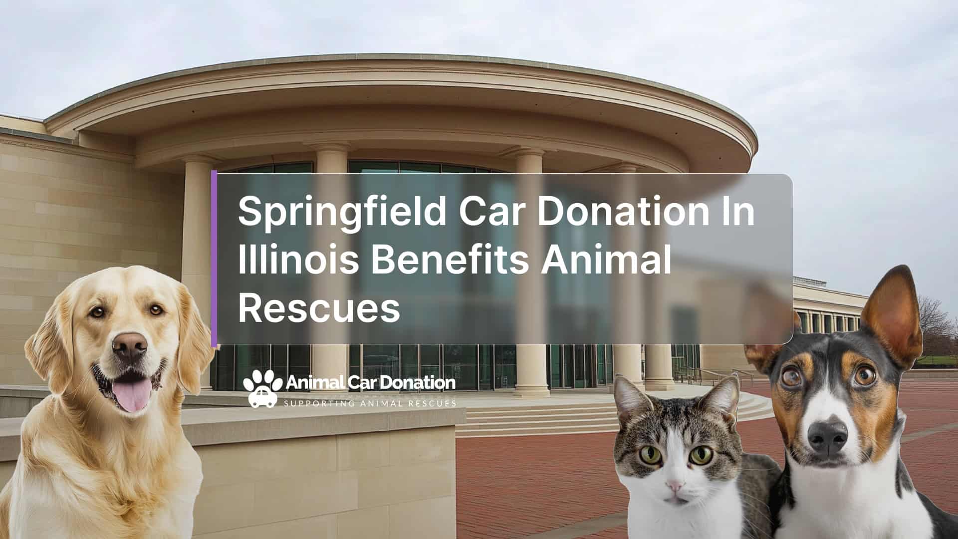Springfield Car Donation In Illinois Benefits Animal Rescues
