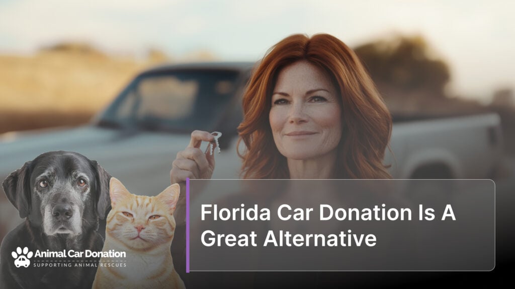 Florida Car Donation Is A Great Alternative