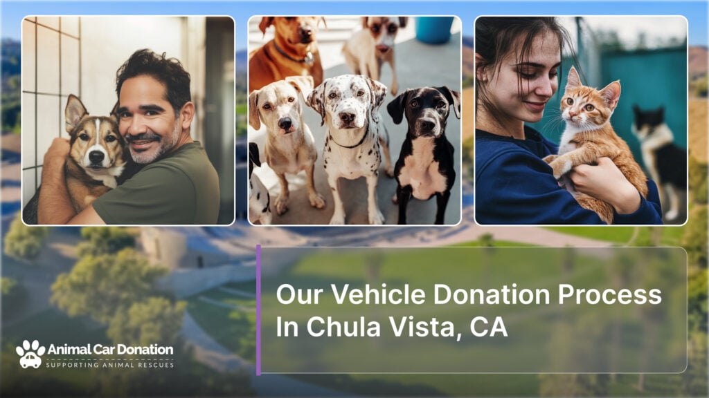 Our Vehicle Donation Process In Chula Vista, CA