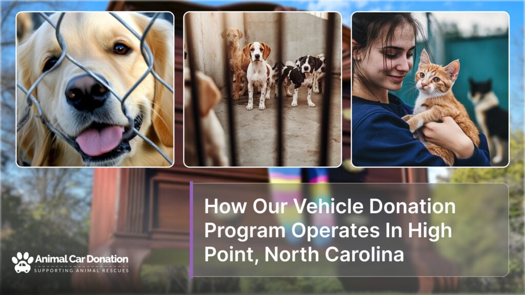 How Our Vehicle Donation Program Operates In High Point, North Carolina