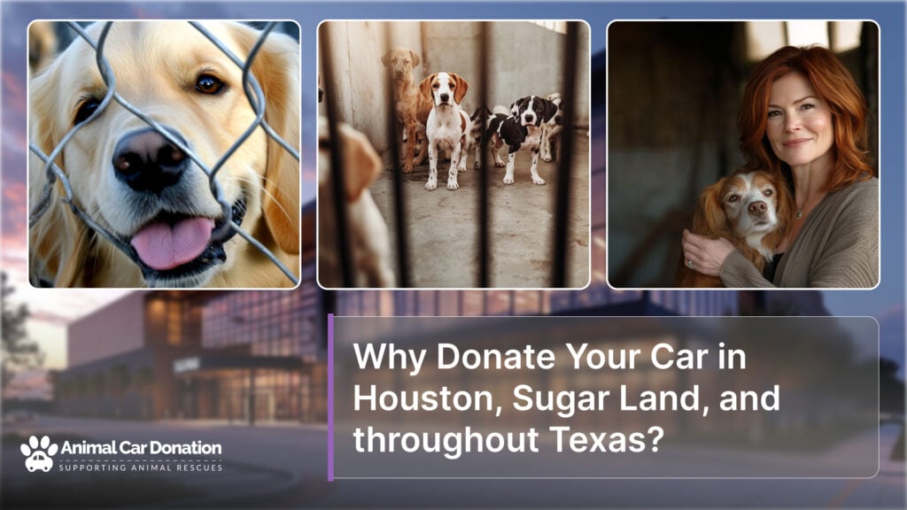 Why Donate Your Car in Houston, Sugar Land, and throughout Texas?