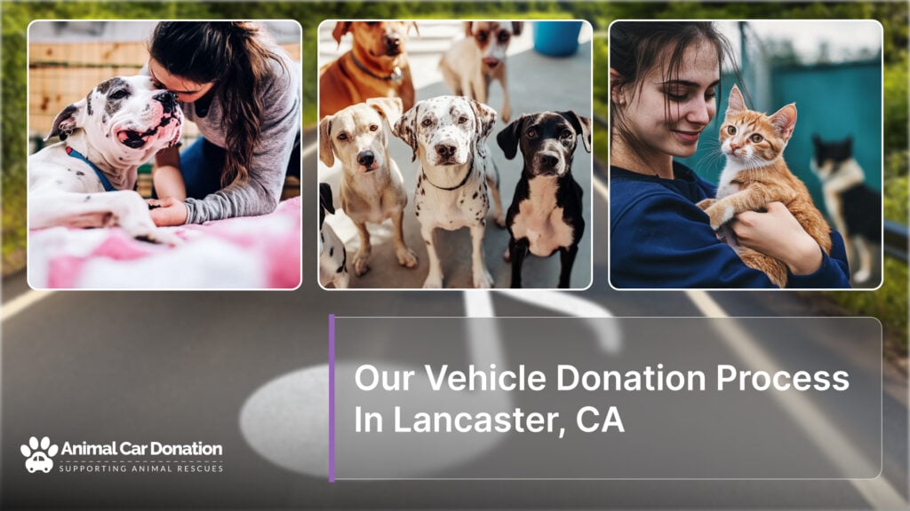 Our Vehicle Donation Process In Lancaster, CA