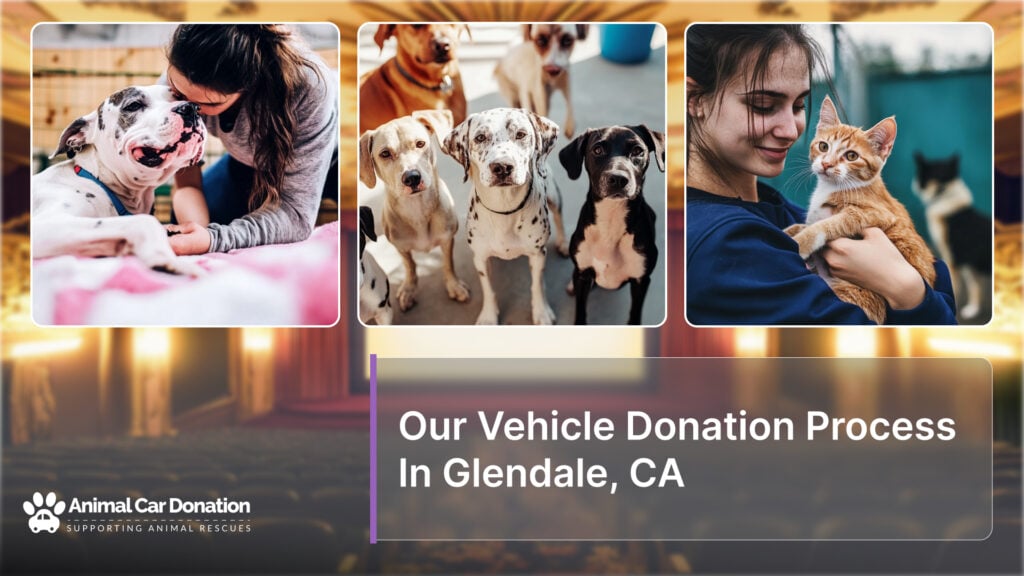 Our Vehicle Donation Process In Glendale, CA