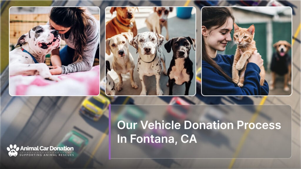 Our Vehicle Donation Process In Fontana, CA