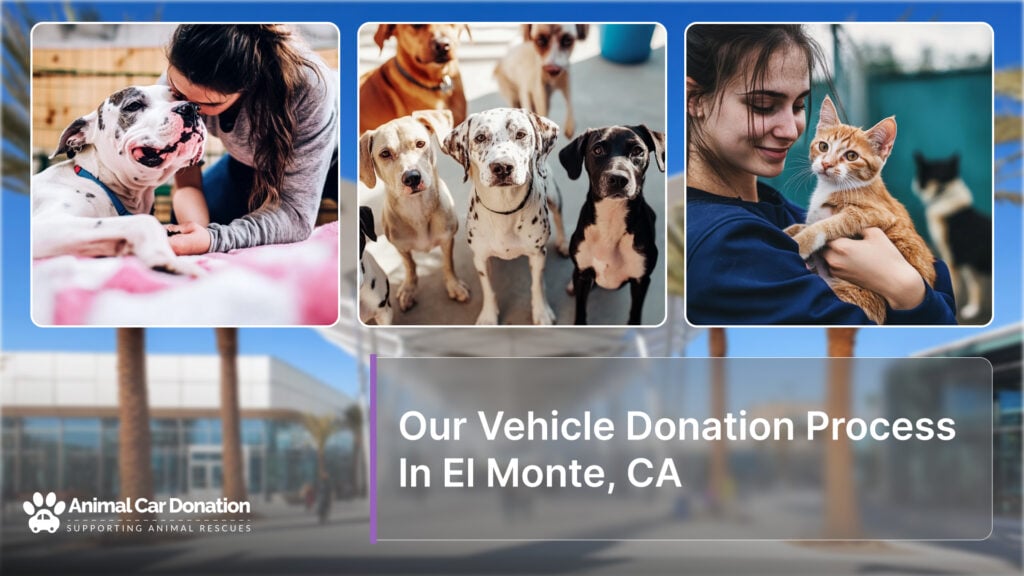 Our Vehicle Donation Process In El Monte, CA