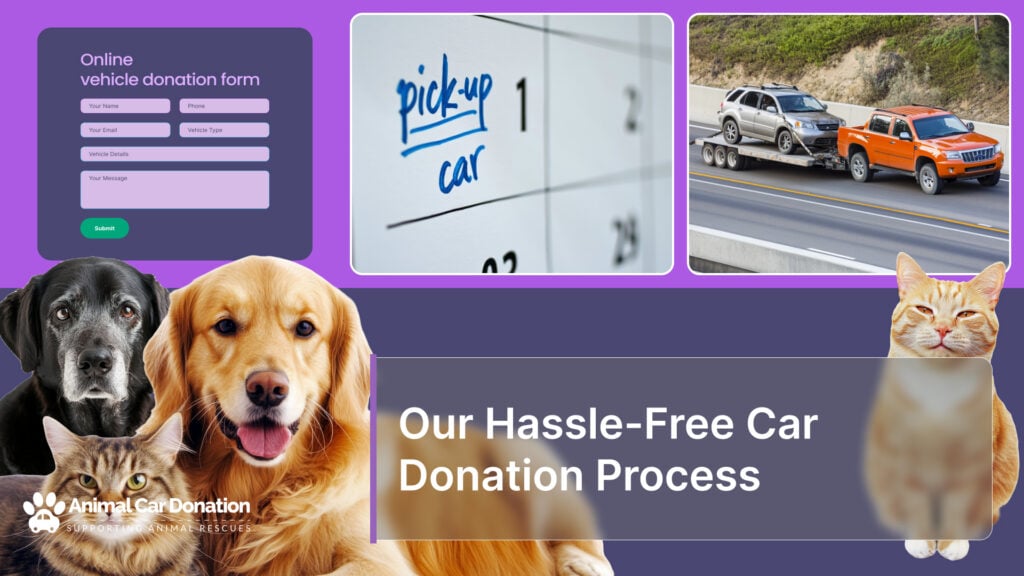 Our Hassle-Free Car Donation Process