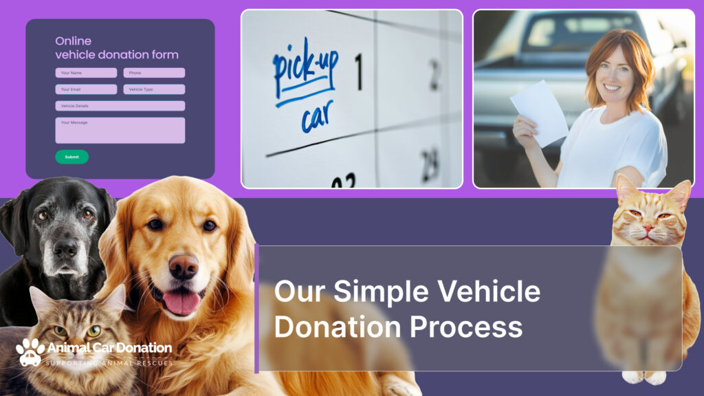 Our Simple Vehicle Donation Process