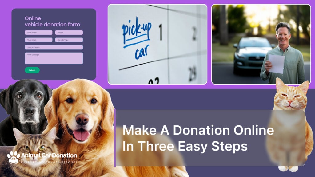 Make A Donation Online In Three Easy Steps