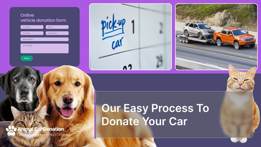 Our Easy Process To Donate Your Car