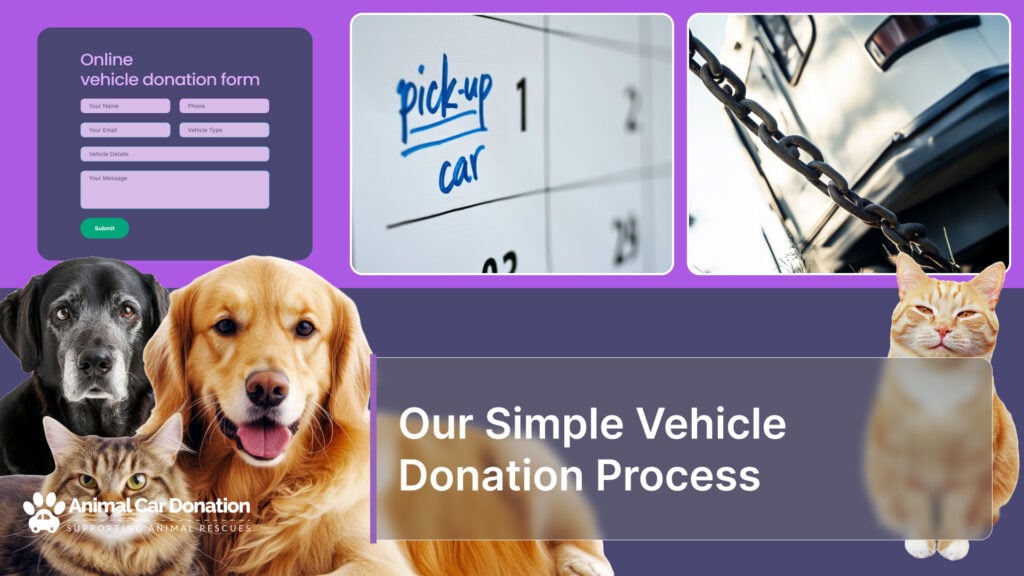 Our Simple Vehicle Donation Process