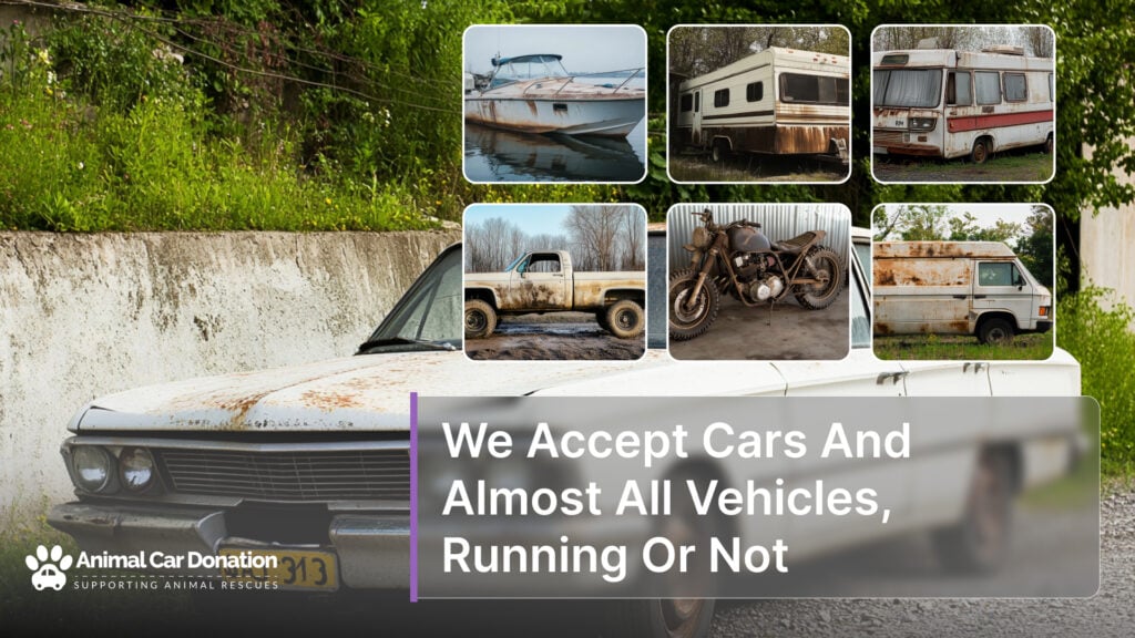 We Accept Cars And Almost All Vehicles, Running Or Not