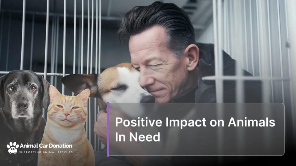 Positive Impact on Animals In Need