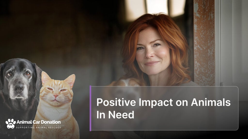 Positive Impact on Animals In Need